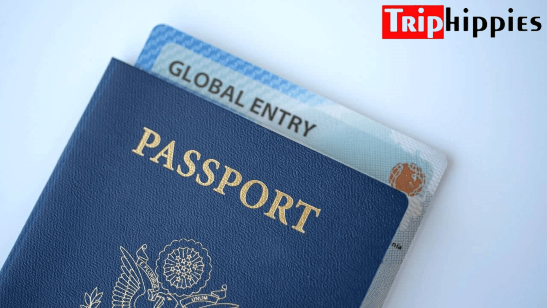 How to Use Global Entry Cards? - Triphippies